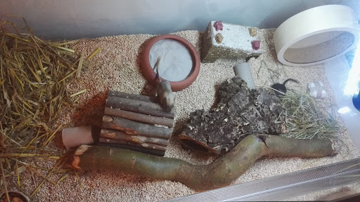 Der Zoofachgeschäft Schweuneke unter Werder, 