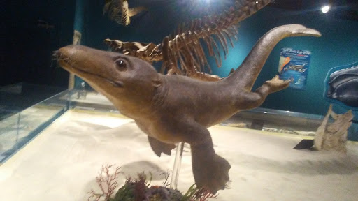 Museum «Museum», reviews and photos, 2142 Southern Dr, Statesboro, GA 30458, USA