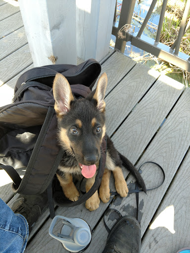 Park «Theodore Wirth Regional Park», reviews and photos, 1339 Theodore Wirth Pkwy, Golden Valley, MN 55422, USA