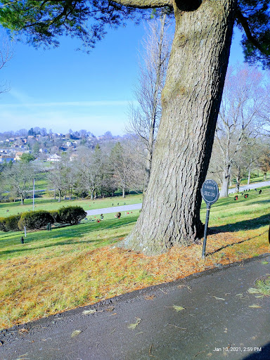 Cemetery «Jefferson Memorial Cemetery, Funeral Home and Crematory», reviews and photos, 301 Curry Hollow Rd, Pittsburgh, PA 15236, USA