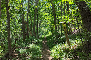 Fox Hollow Trail
