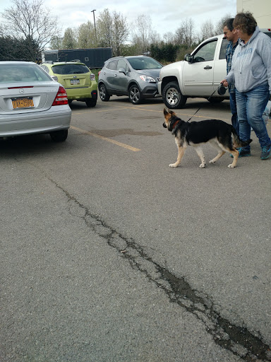 Pet Supply Store «PetSmart», reviews and photos, 279 E Fairmount Ave, Lakewood, NY 14750, USA