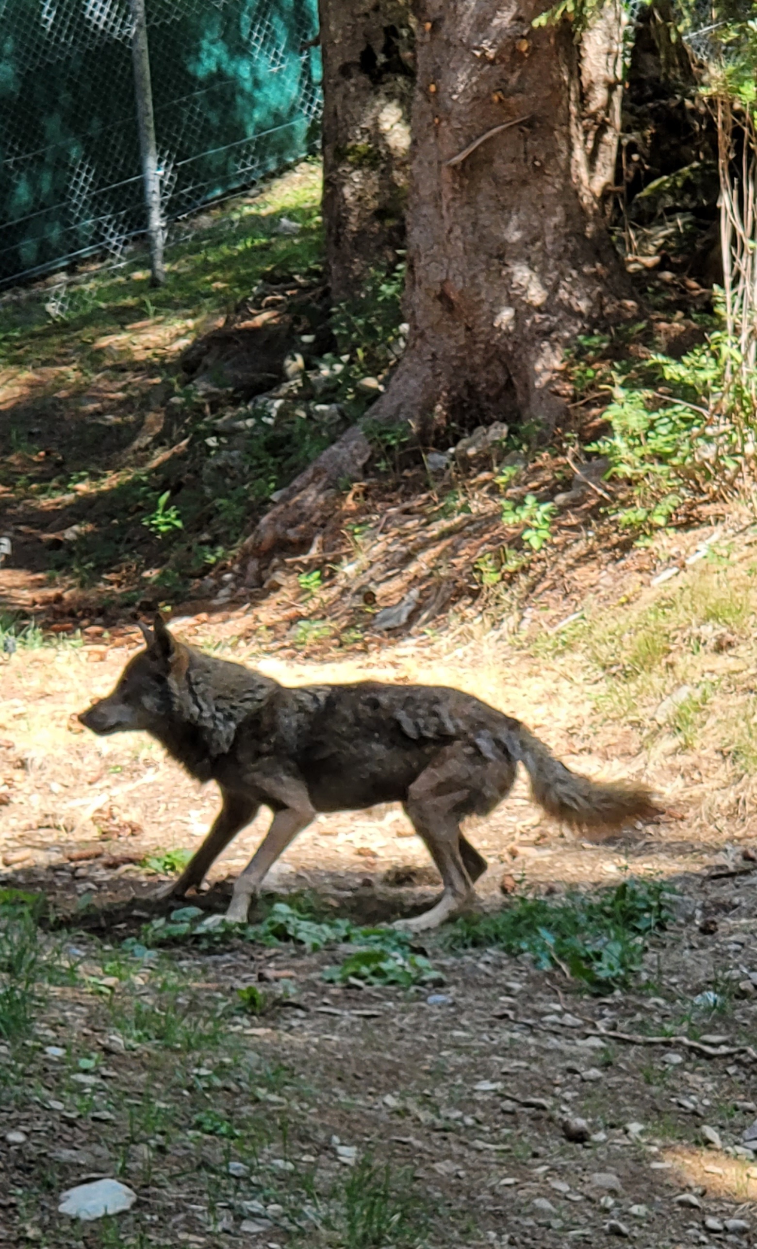 Photo n° 3 de l'avis de Charles.e fait le 02/08/2022 à 12:13