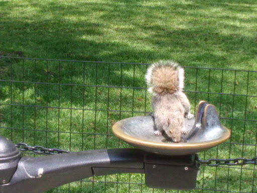 Arena «Madison Square Garden», reviews and photos, 4 Pennsylvania Plaza, New York, NY 10001, USA