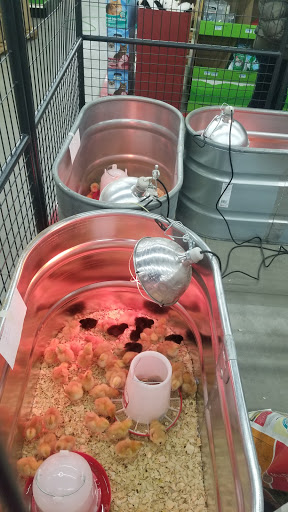 Home Improvement Store «Tractor Supply Co.», reviews and photos, 10870 Balls Ford Rd, Manassas, VA 20109, USA