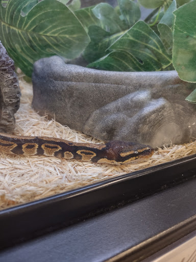 Pet Supply Store «Petco Animal Supplies», reviews and photos, 6425 Keizer Station Blvd, Keizer, OR 97303, USA