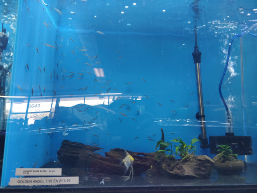Tropical Fish Store «Exotic Aquarium», reviews and photos, 6643 Franklin Blvd, Sacramento, CA 95823, USA