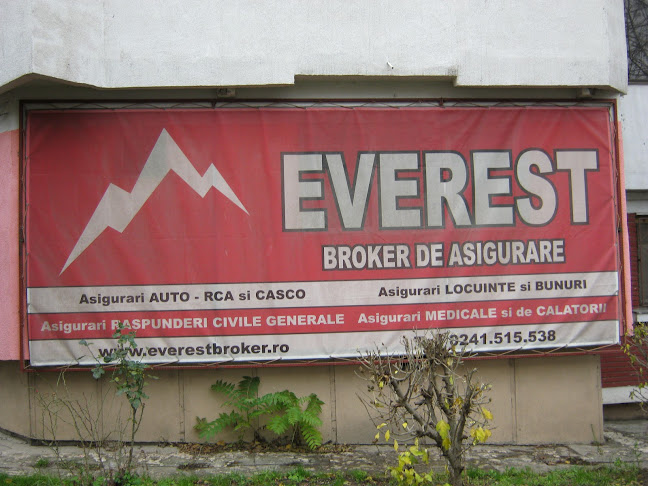 Everest Broker - <nil>