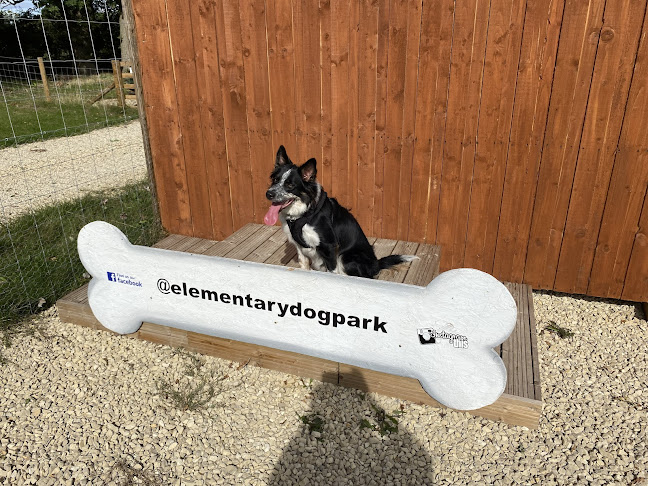 Elementary Dog Park - York