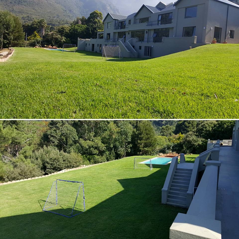 Instant Lawn Cape Town ( GRASS IT LAWNS )