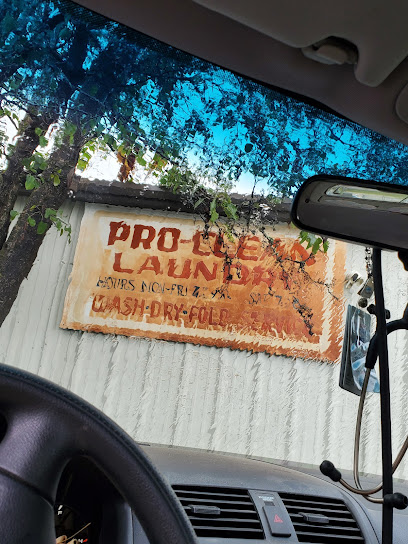 Pro Clean Dry Cleaners