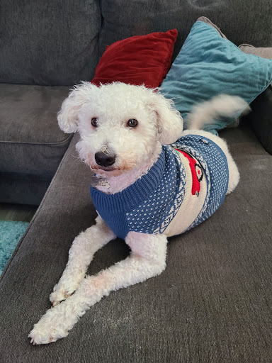 Pet Store «AA Ridgewood Kennels II, LLC», reviews and photos, 11 E Tolna Rd, Shrewsbury, PA 17361, USA