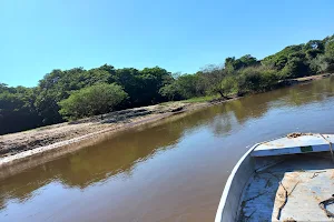Aguapeí River image