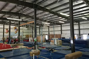 Cahoy's Gymnastic Training Center image