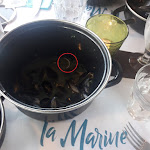 Photo n° 5 de l'avis de Bob.e fait le 27/08/2018 à 12:07 pour La Marine à Langrune-sur-Mer
