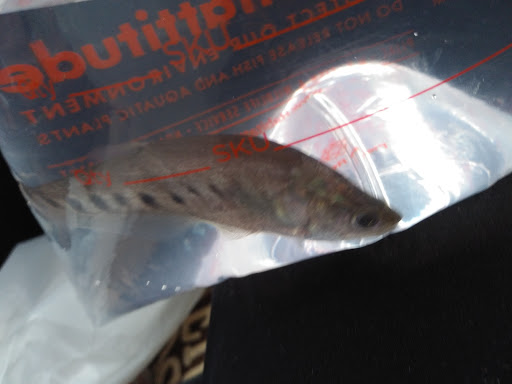 Pet Supply Store «Petco Animal Supplies», reviews and photos, 1049 S Willow St, Manchester, NH 03103, USA