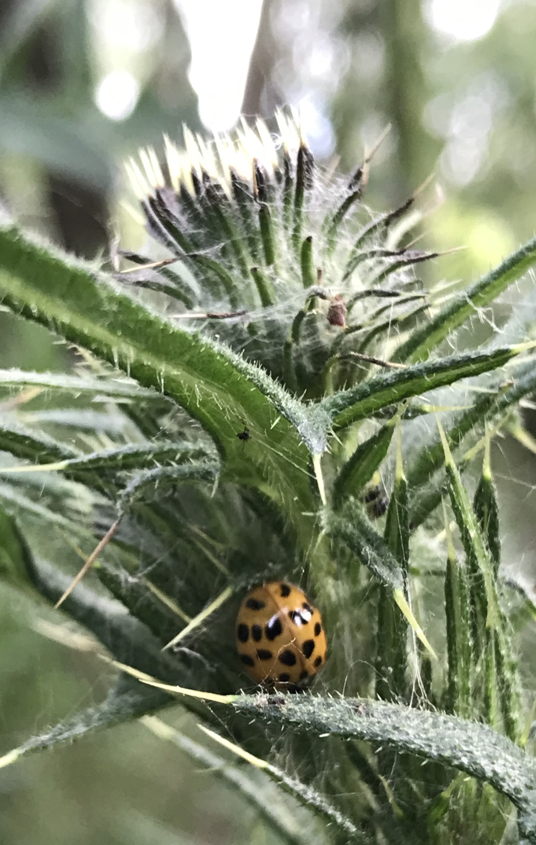 Photo n° 3 de l'avis de alex. fait le 12/07/2019 à 18:07