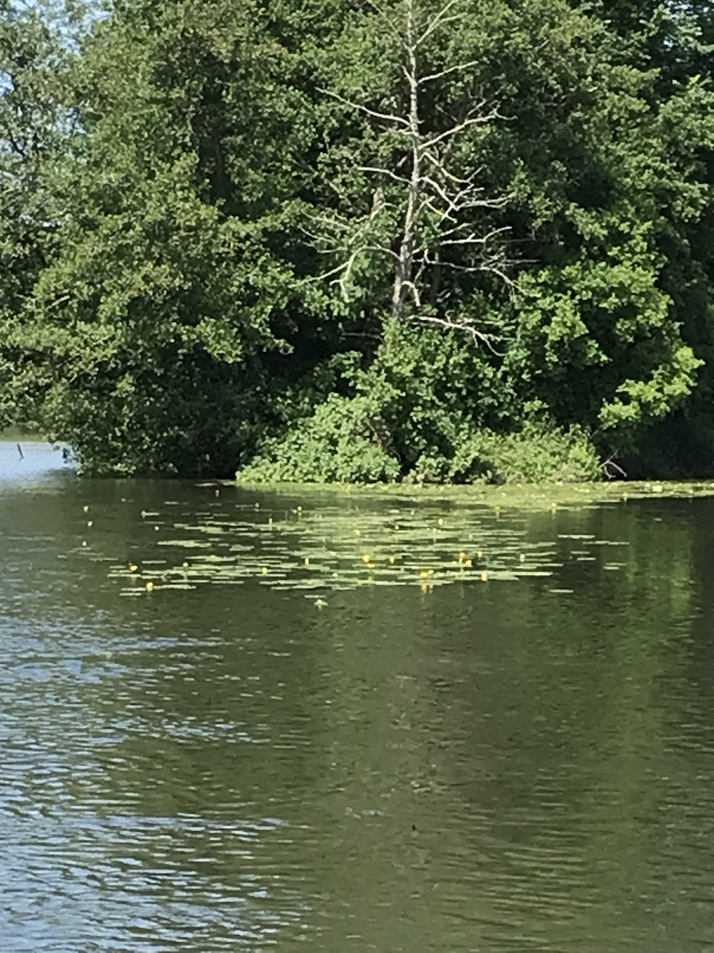 Photo n° 13 de l'avis de prebay.r fait le 31/03/2023 à 07:39