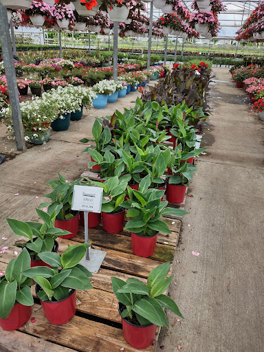 Plant Nursery «Blooming Acres», reviews and photos, 7561 State Rd, Wadsworth, OH 44281, USA