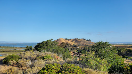 Nature preserve Daly City