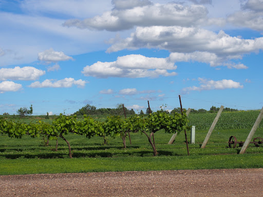 Winery «Strawbale Winery», reviews and photos, 47215 257th St, Renner, SD 57055, USA