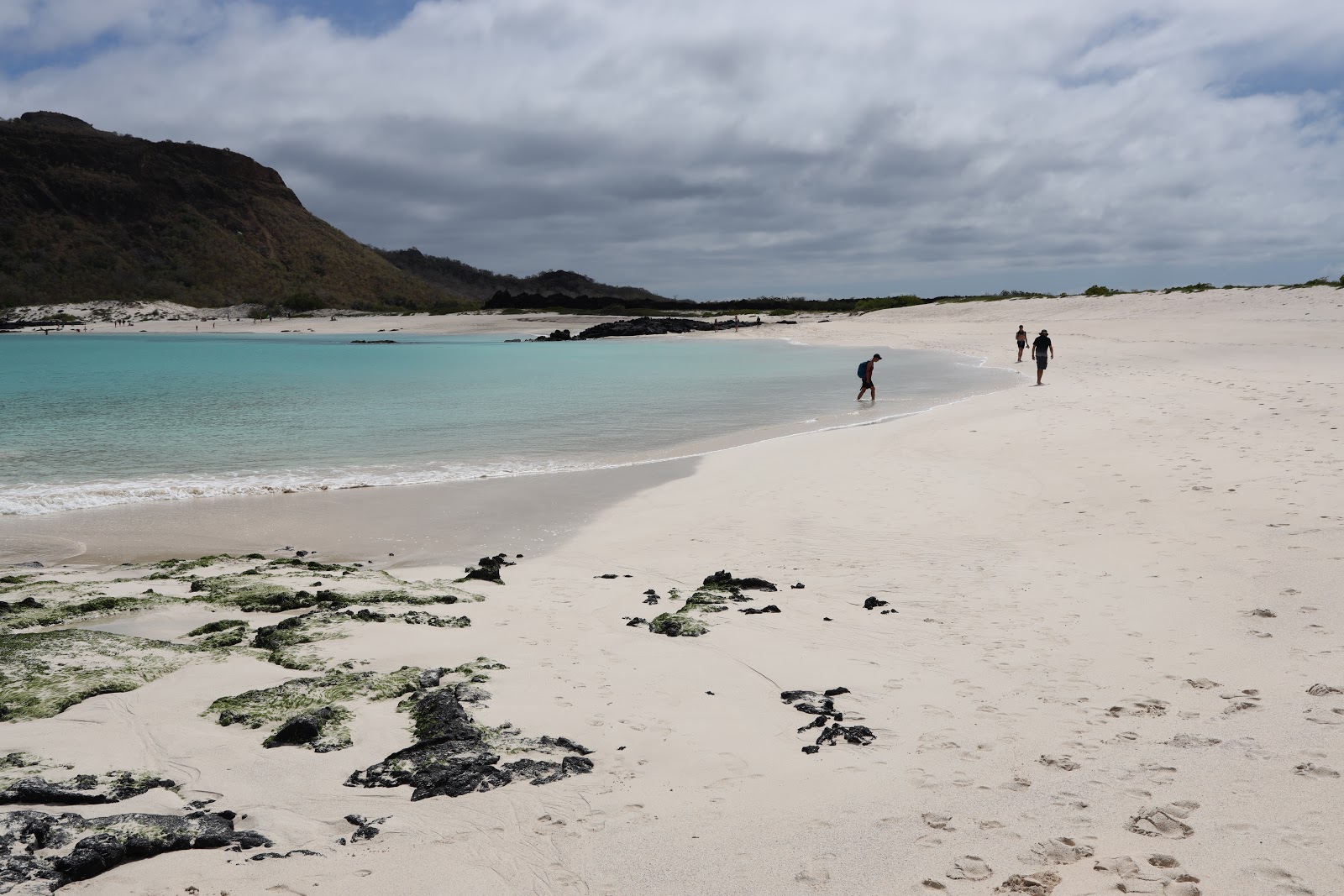 Φωτογραφία του Playa Cerro Brujo και το όμορφο τοπίο του