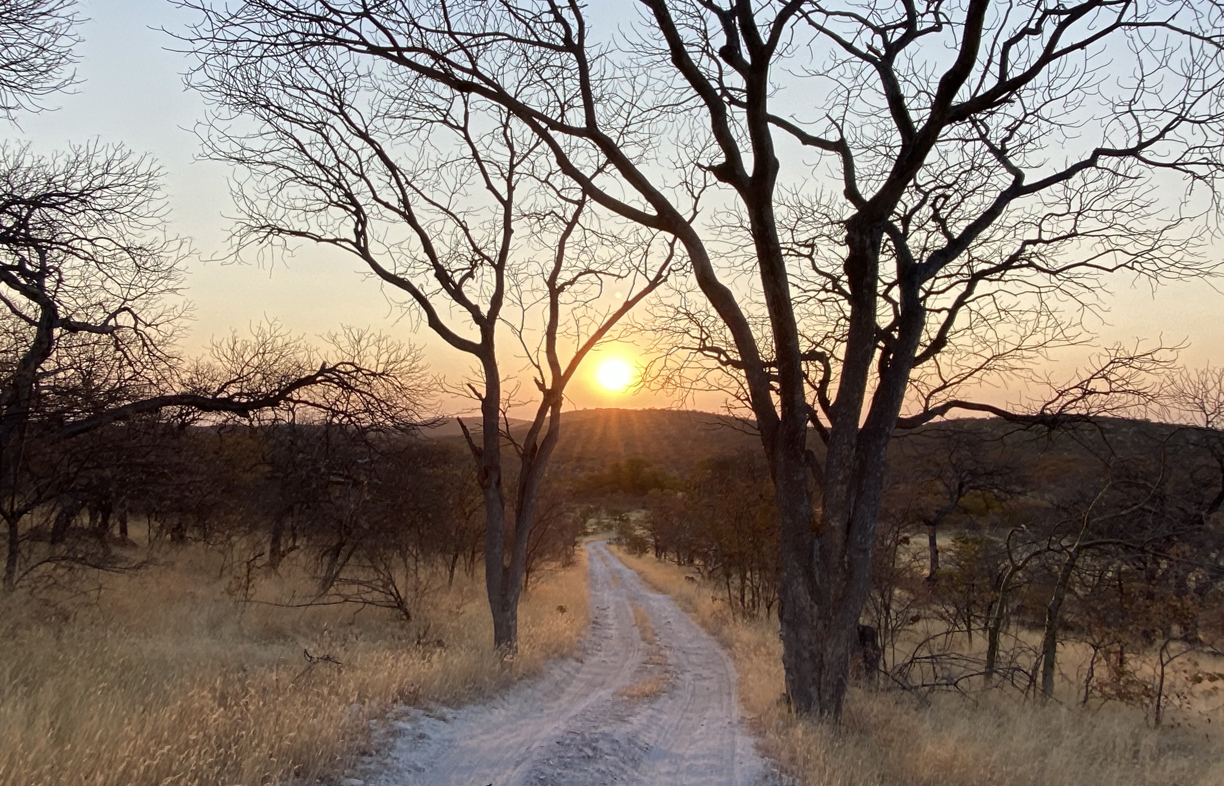 Photo n° 8 de l'avis de Rodolphe.o fait le 21/03/2024 à 06:35