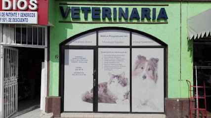 Centro Médico Quirúrgico y Nutricional Canino