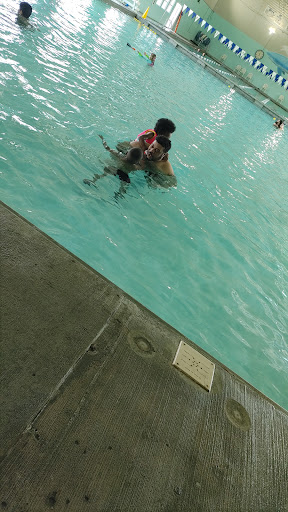 Recreation Center «Shelbyville Recreation Center», reviews and photos, 220 Tulip Tree Rd, Shelbyville, TN 37160, USA