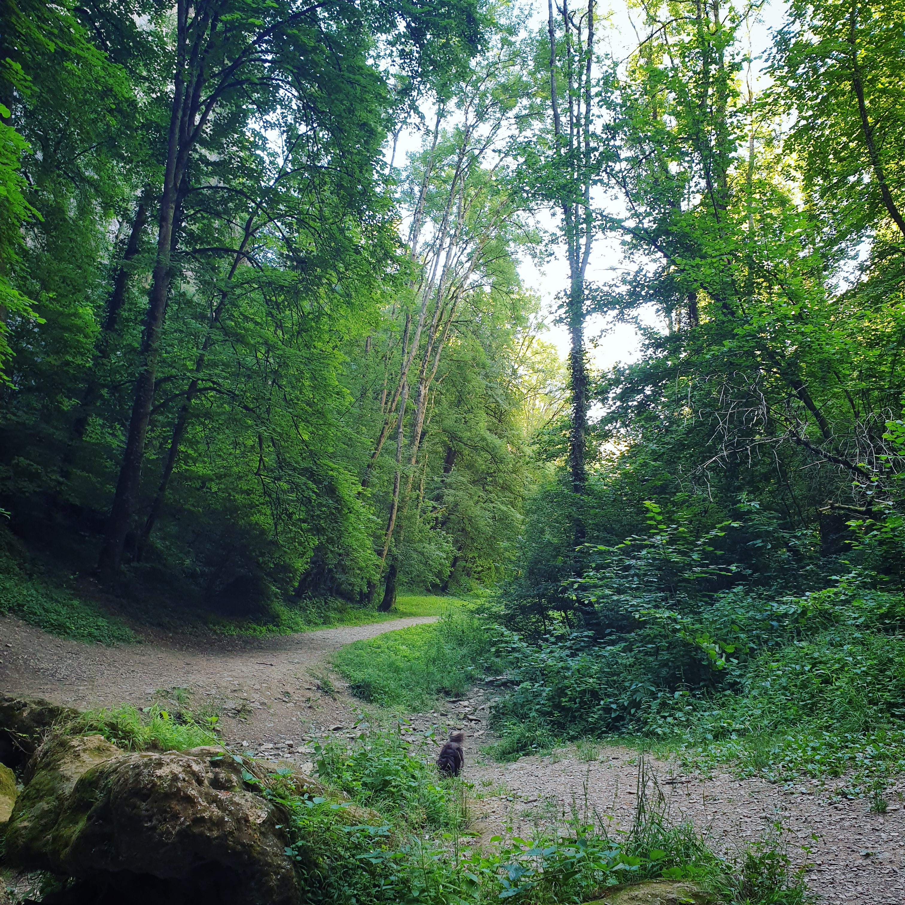 Photo n° 3 de l'avis de Ludivine.a fait le 11/07/2019 à 15:25