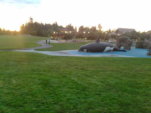 Park «Crossroads Water Spray Playground», reviews and photos, 999 165th Ave NE, Bellevue, WA 98008, USA