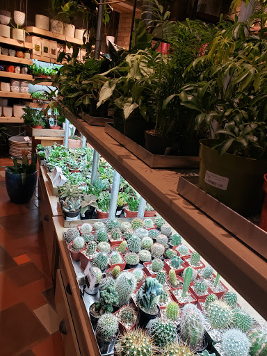 General Store «MOD GEN - A Modern General Store», reviews and photos, 211 N Broadway, Milwaukee, WI 53202, USA