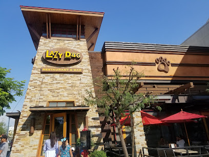 Lazy Dog Restaurant & Bar - 1440 Plaza Dr, West Covina, CA 91790