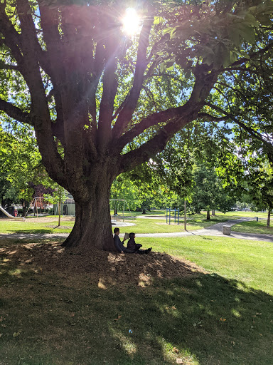 Park «Powell Park», reviews and photos, SE 26th Ave & Powell Blvd, Portland, OR 97202, USA