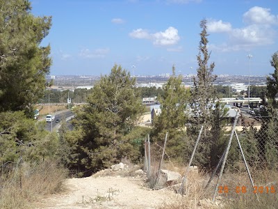 Photos of Site frank