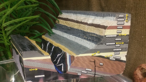 Museum «Creation Evidence Museum», reviews and photos, 3102 FM 205, Glen Rose, TX 76043, USA