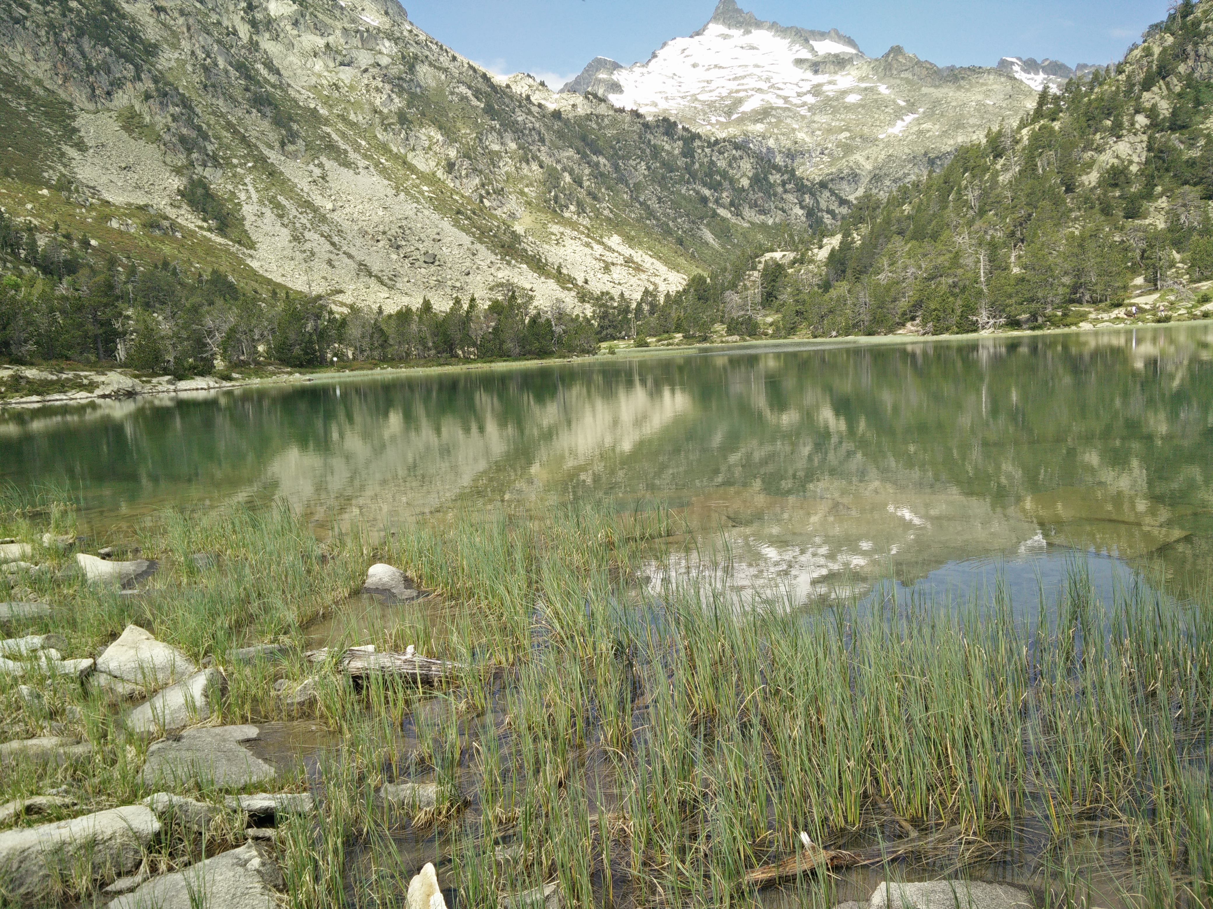 Photo n° 11 de l'avis de LOUIT.O fait le 25/06/2020 à 13:20