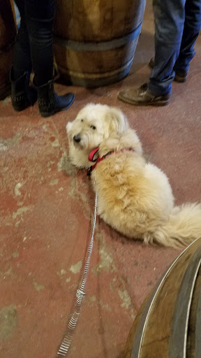 Winery «Red Hook Winery», reviews and photos, 175 Van Dyke St, Brooklyn, NY 11231, USA