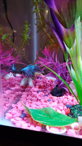 Pet Supply Store «Pet Valu», reviews and photos, 1024 Lititz Pike, Lititz, PA 17543, USA