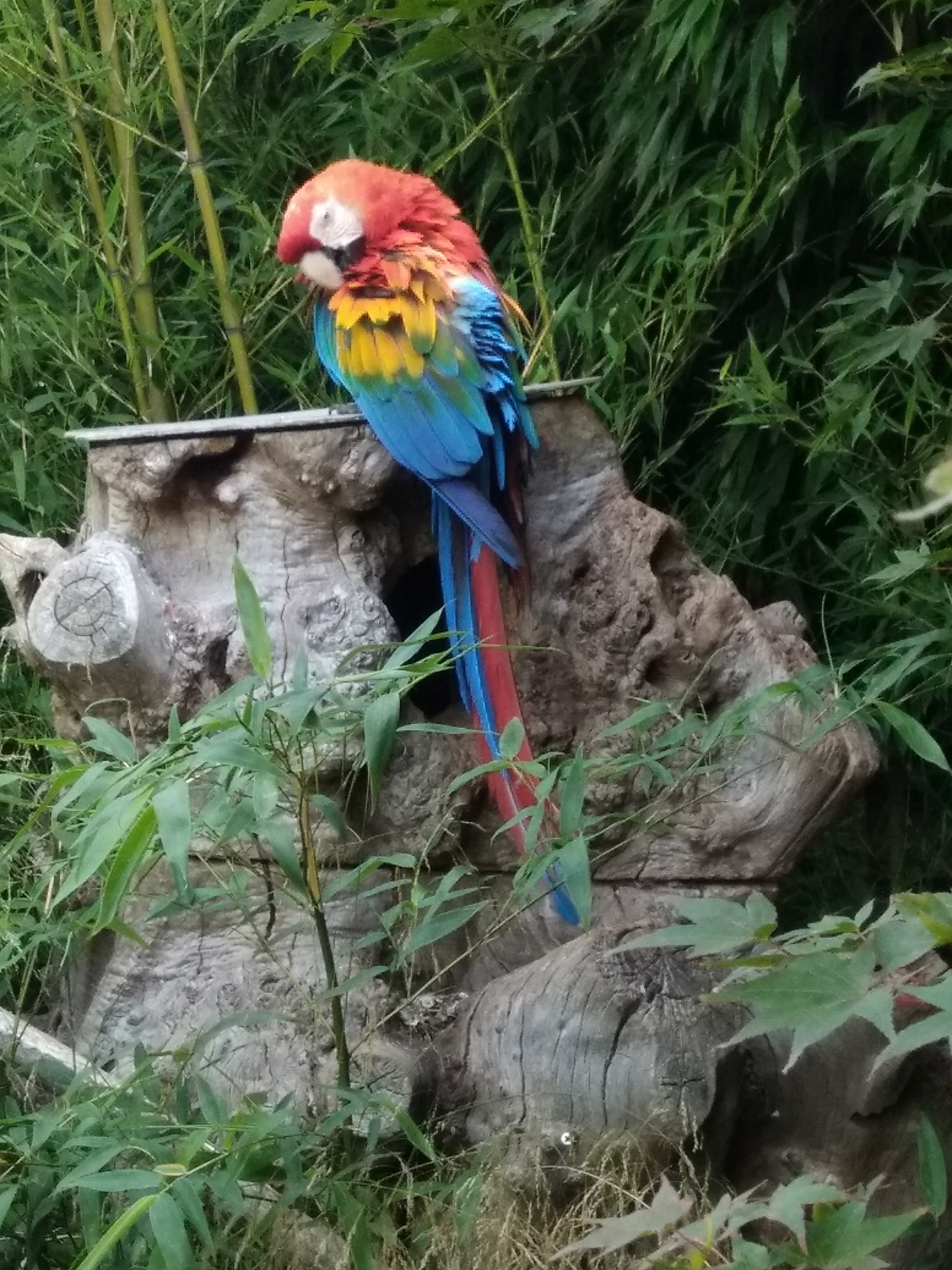 Photo n° 34 de l'avis de carine.a fait le 25/08/2019 à 20:31
