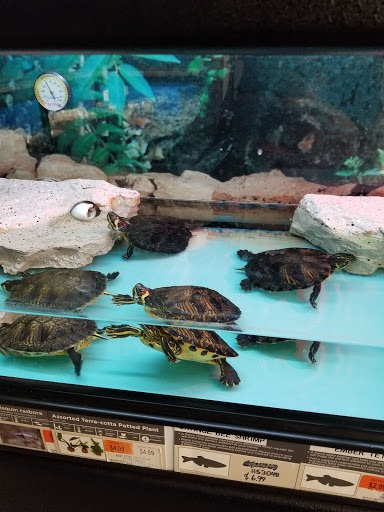 Pet Supply Store «Petco Animal Supplies», reviews and photos, 10383 Reisterstown Rd, Owings Mills, MD 21117, USA