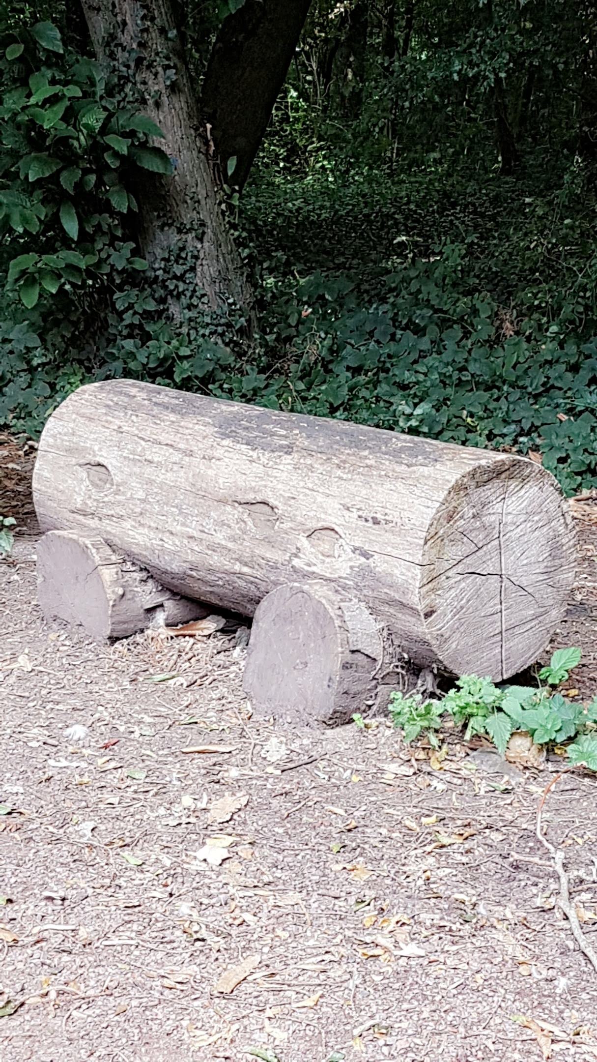 Photo n° 10 de l'avis de Anne.a fait le 12/08/2019 à 14:05