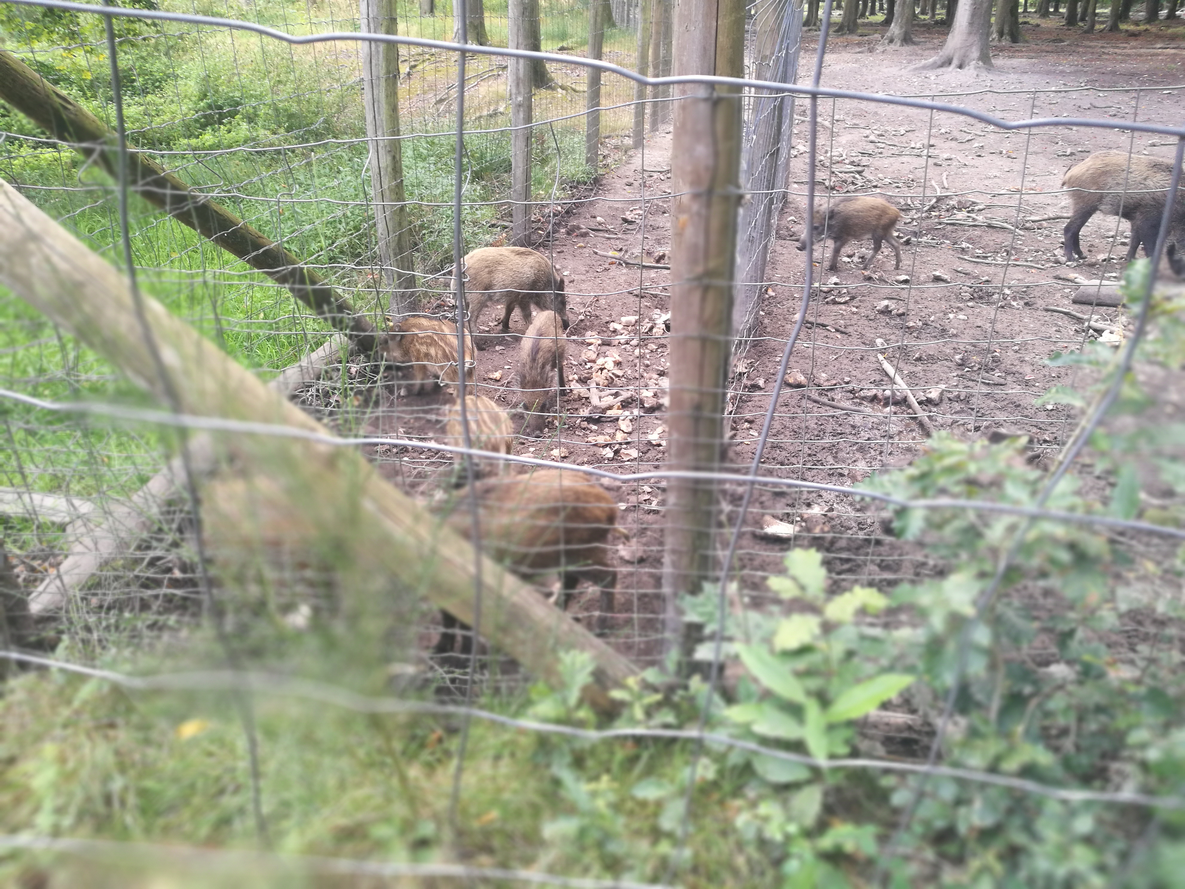 Photo n° 1 de l'avis de mlk. fait le 12/09/2023 à 18:31