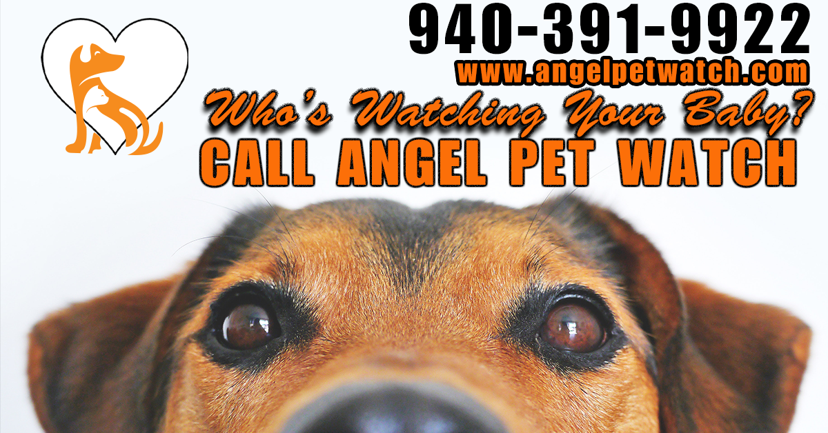 Angel Pet Watch