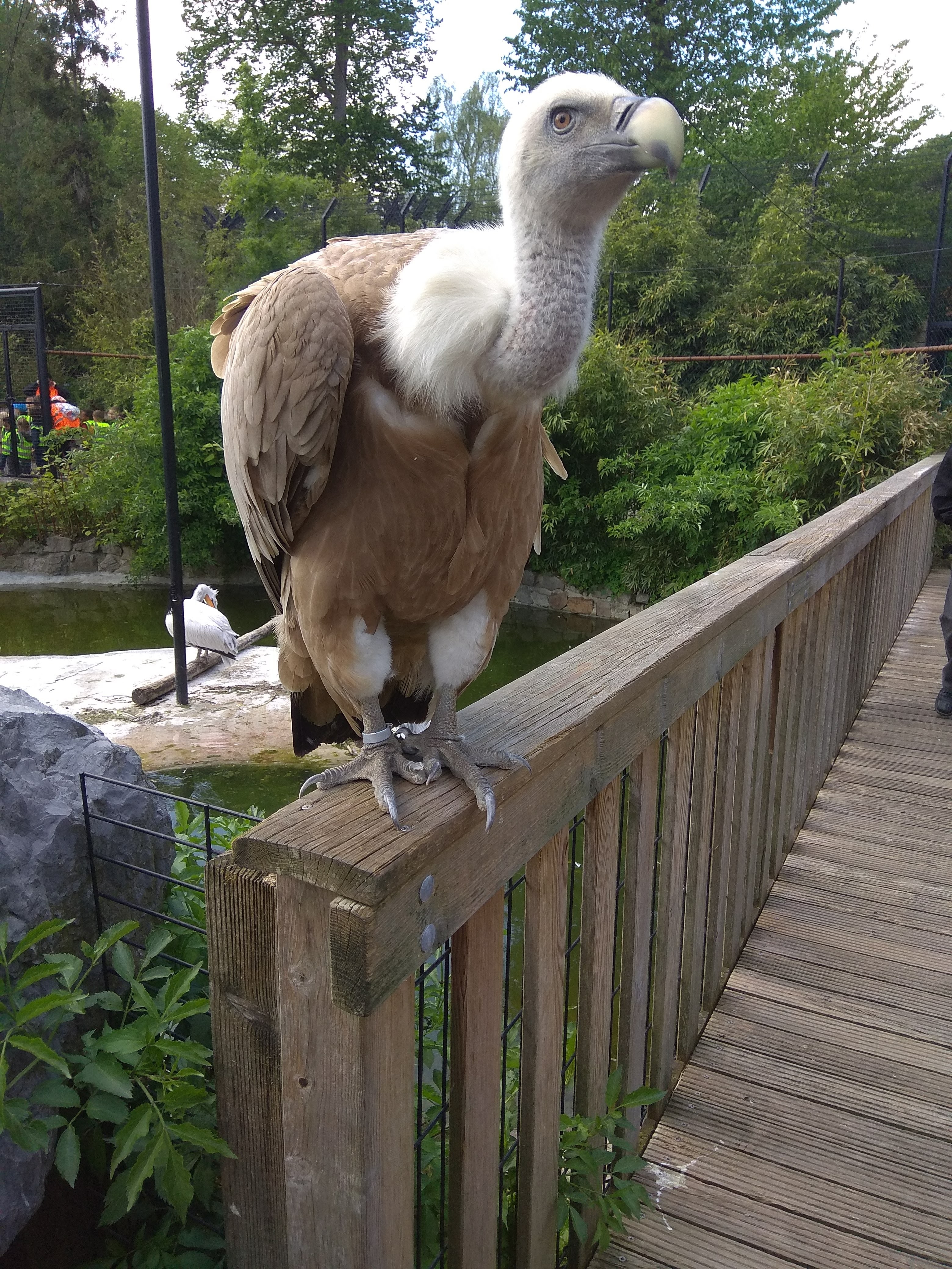 Photo n° 8 de l'avis de louloute.a fait le 05/07/2018 à 09:16