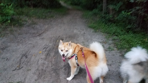 Park «Mather Woods Forest Preserve», reviews and photos, 25032 W Renwick Rd, Plainfield, IL 60544, USA