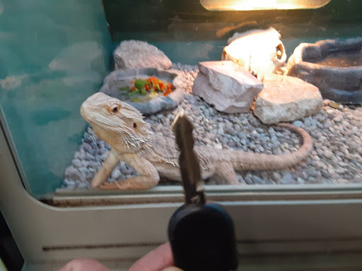 Pet Store «Sierra Fish and Pets», reviews and photos, 601 S Grady Way Suite M, Renton, WA 98057, USA