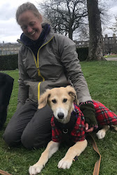 The Dog Coach Edinburgh
