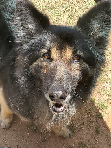 Pet Supply Store «PetSmart», reviews and photos, 6046 Marsha Sharp Fwy, Lubbock, TX 79407, USA