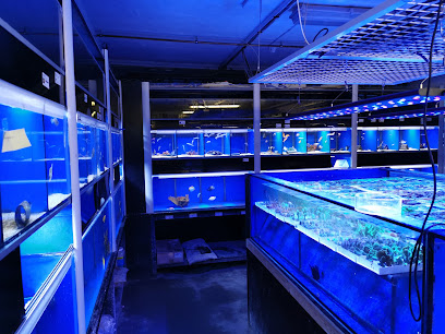 Decocean Aquarium v/Carsten Kehler Andersen